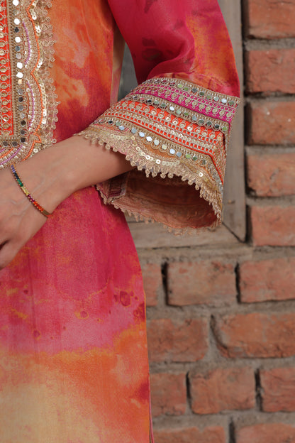 Mehar Organza Suit